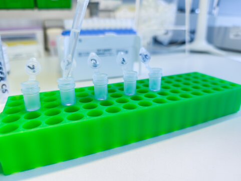 Brussels, Belgium. Micropipette dispensing DNA sample into microcentrifuge tube during molecular biology laboratory extraction