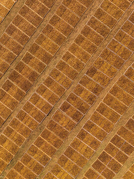 Aerial view of tobacco leaves drying in neat rows on the ground, showcasing agricultural patterns in Temanggung Regency, Central Java, Indonesia.