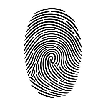 Fingerprint icon representing personal identity, biometric security, data protection, and digital authentication for access control and private information unique identification