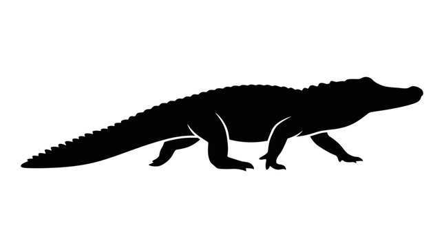 Alligator crocodile reptile black silhouette vector illustration.