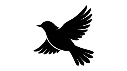 Fototapeta premium Flying bird silhouette spreading wings.