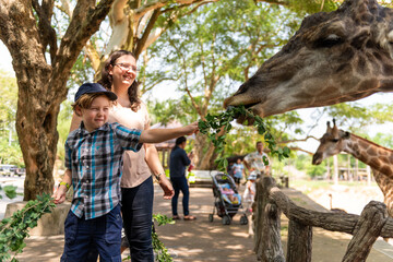 Family feeding giraffes at zoo © Rawpixel.com