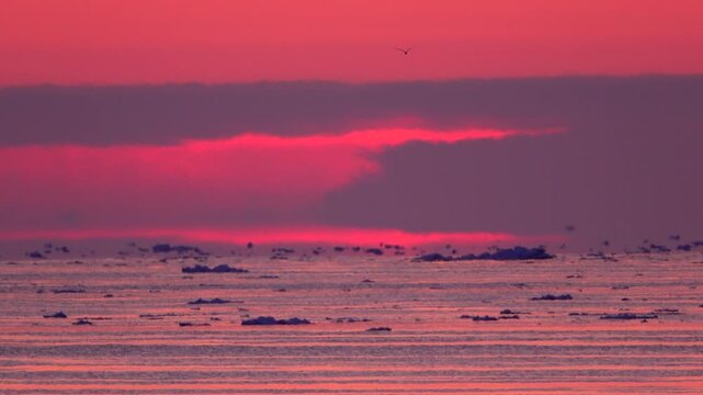 朝の流氷とオホーツク海