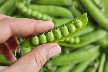 Obraz premium Woman with fresh green peas over pods, above view
