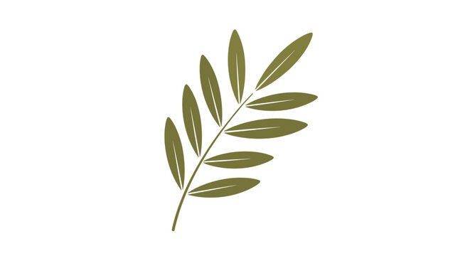 Golden green olive leaf twig illustration representing peace and purity isolated on pure white background.