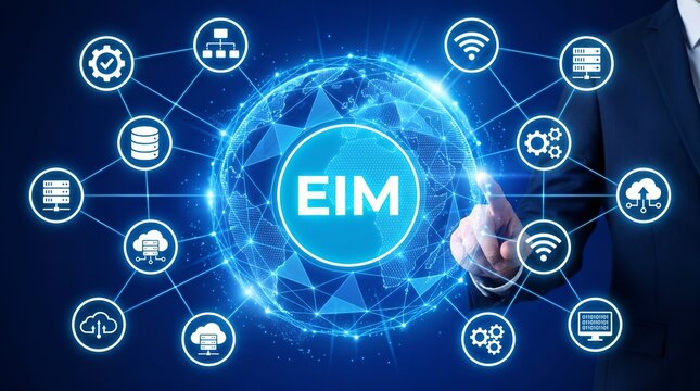 EIM Enterprise Information Management, Global Network Integration System with Cloud Database and IoT Connectivity
