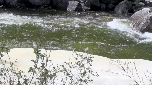 Powerful emerald water surges over and around rough boulders in Mongolia's stunning natural expanse. White foam dances upon the lively current, bordered by sparse, green growth near Lake Khuvsgul.