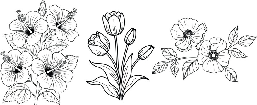 Black and White Floral Line Art of Petunias, Tulips, and Poppies