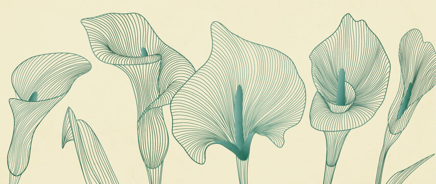 Premium art background with blue or green calla lilies, hand-drawn in line style. Botanical banner for posters, prints, wallpaper, packaging, and interior design.