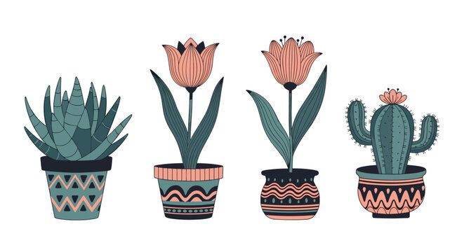 collection of diverse indoor potted plants featuring an aloe vera succulent, vibrant tulips, and a prickly cactus in patterned ceramic pots.