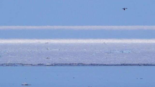 幻氷とオホーツク海の流氷