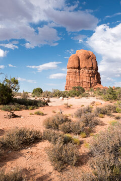 Rock formation in Arches National Park in Moab, Utah. Desert landscape with sage brush in Arches National Park, daytime.