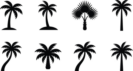 Obraz premium Tropical Palm Tree Silhouette Collection with Coconut Palms and Exotic Botanical Icons Isolated on Background