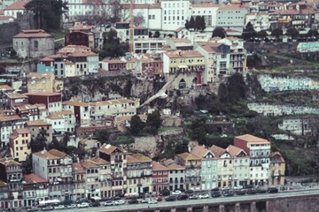 Obraz premium A majestic seagull glides effortlessly over Porto, capturing the stunning blend of colorful buildings perched on the hillside