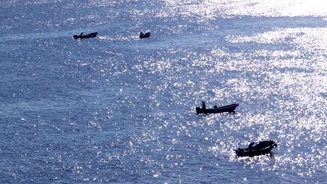 内浦湾の昆布漁の朝