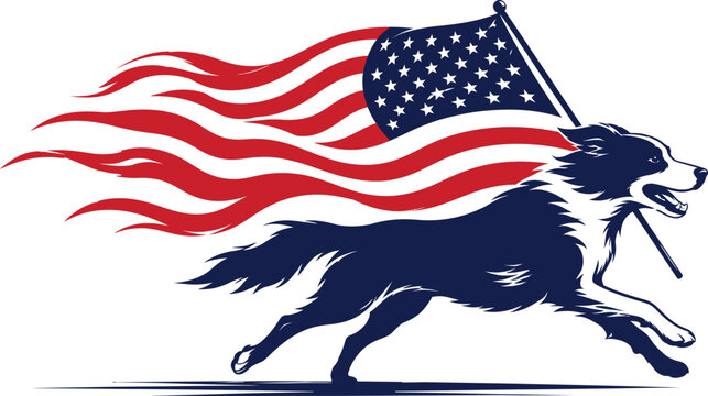 Patriotic american border collie dog running with usa flag