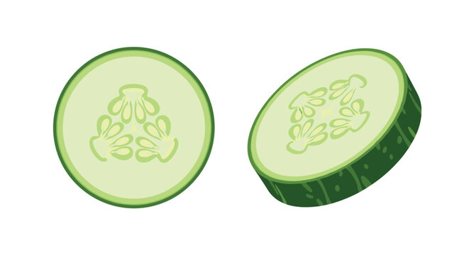 Two fresh green cucumber slices are shown in a clean and minimal illustration style representing healthy food and diet.