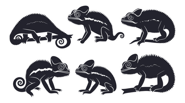Chameleon silhouette vector collection, black lizard reptile icons set, exotic tropical animal silhouettes for logo design and nature branding