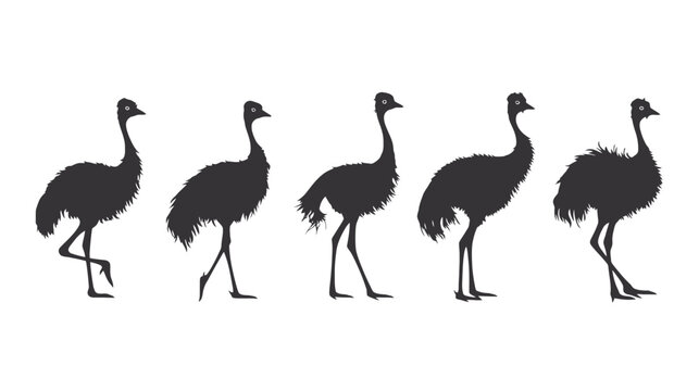 Emu bird silhouette collection, set of 5 flightless bird vector icons, black ostrich silhouettes in walking and standing poses
