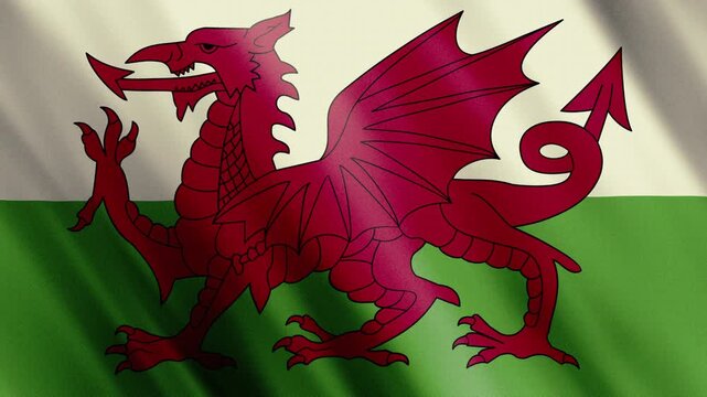 Welsh Red Dragon flag waving close up &mdash; realistic 3D loop for rugby Six Nations and Celtic content