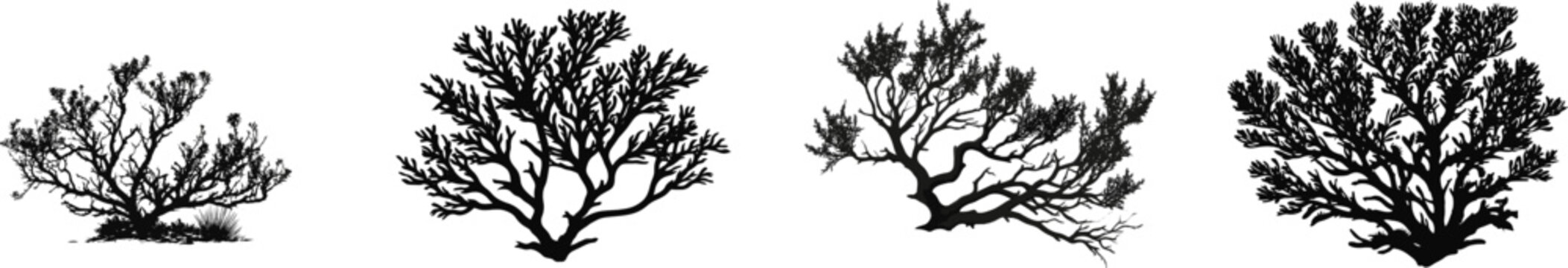 A desert sagebrush shrub stands alone in stark contrast against the pristine white backdrop, its wild and irregular silhouette rendered in a flat solid black vector illustration