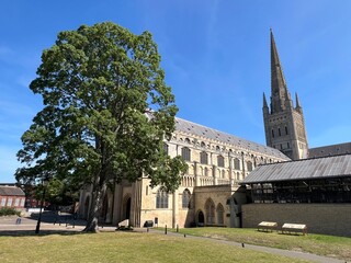 Obraz premium Norwich cathedral in Norfolk, England