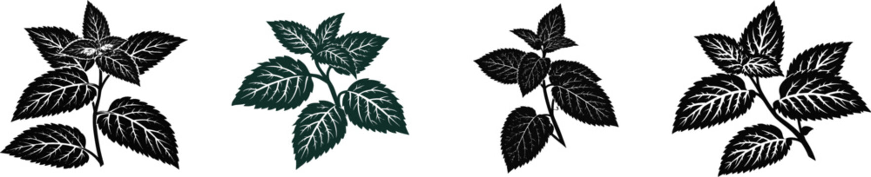 A striking peppermint plant stalk with sharply serrated dark leaves and clear criss-cross leaf vein structures is depicted in a fresh mint logo style, isolated on a pure white background