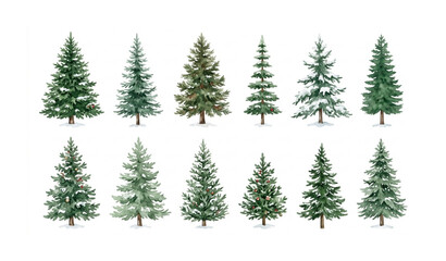 Obraz premium Watercolor Christmas Pine Trees Collection Hand Painted Winter Evergreen Illustration Set