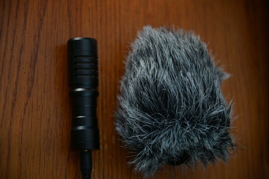 Microphone and Windscreen
