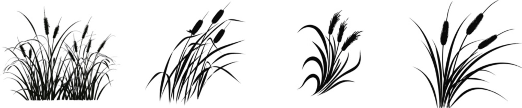 A minimalist illustration of tall cattail reeds swaying gently in the wind against a solid white background