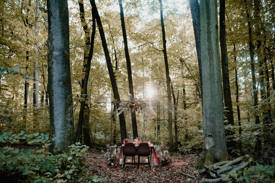 Styled wedding table with a floral chandelier in an autumn forest