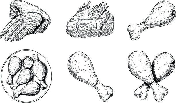 Vintage grilled chicken, roasted meat and barbecue food engraving collection isolated vector illustration for restaurant menus