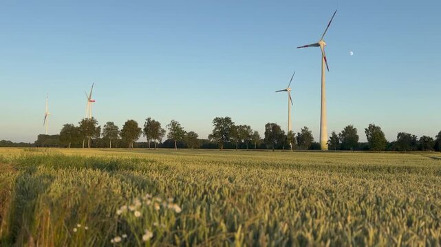 Moderne Windkraftanlagen in sommerlicher Agrarlandschaft | Golden Hour Germany