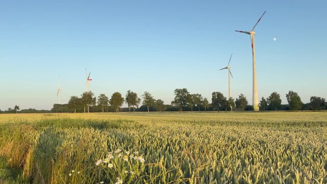 Windkraftanlagen im goldenen Abendlicht auf l&auml;ndlichen Feldern | Renewable Energy