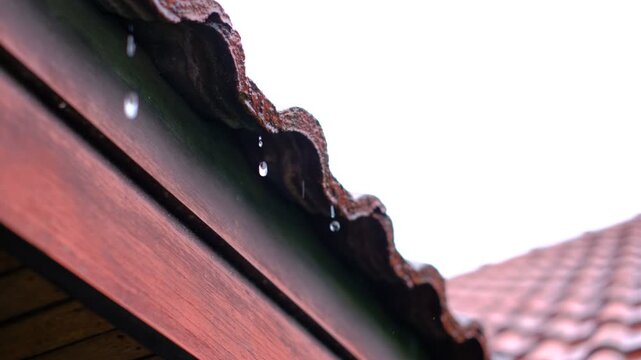 Raindrops fall from a brown tiled roof. Water drips slowly down a wooden gutter. Sky is bright and overcast. Perfect for weather, home repair, or architectural scenes