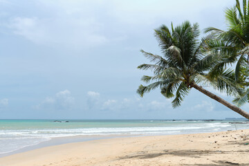 Fototapeta premium Coastal Pollution Awareness Concept on Tropical Beach background