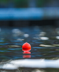 Single red float drifting on dark reflective water surface at dusk. © Trygve