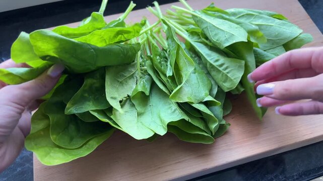 Hands preparing fresh green spinach leaves on wooden board