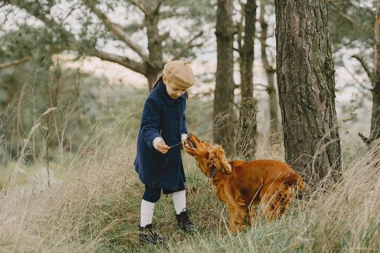 Little girl walks in autumn forest with a dog