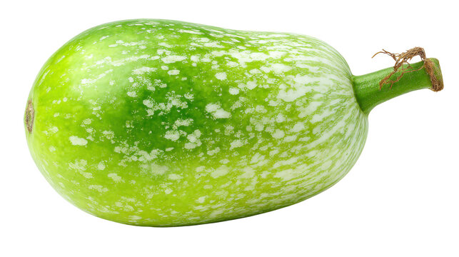 Fresh organic bottle gourd calabash squash whole raw nutritious garden vegetable for healthy cooking isolated on white background