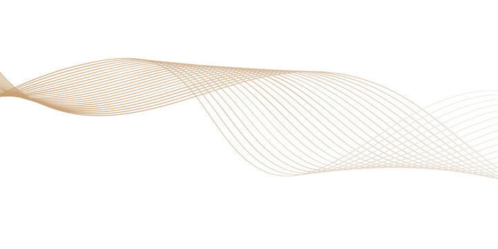 elegant wave of thin flowing lines in soft beige color, creating a minimalist abstract composition that suggests movement, grace, and modern design aesthetic for professional presentation.