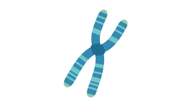 Illustration of a blue chromosome with green tips on a white background, featuring a detailed, scientific representation.