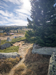 Obraz premium Konyarnika area at Vitosha Mountain, Bulgaria