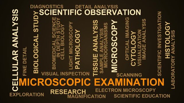 Microscopic Examination Word Cloud