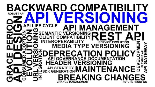 Api Versioning Word Cloud