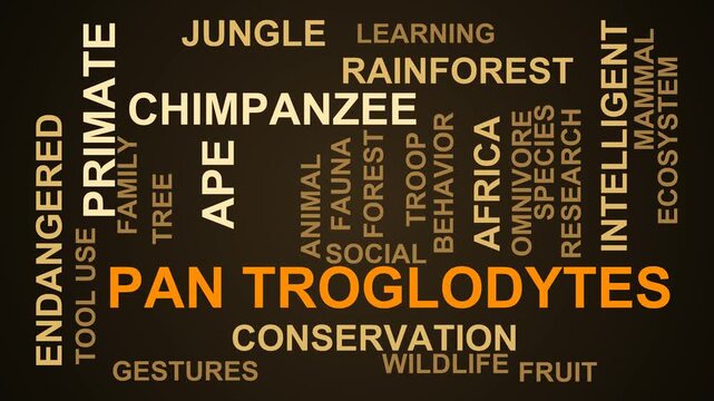 Pan Troglodytes Word Cloud