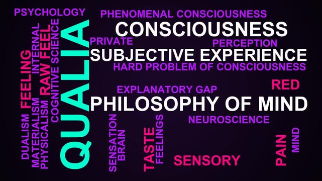 Qualia Word Cloud