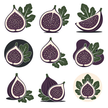 Modern flat design fig fruit and leaf illustrations
