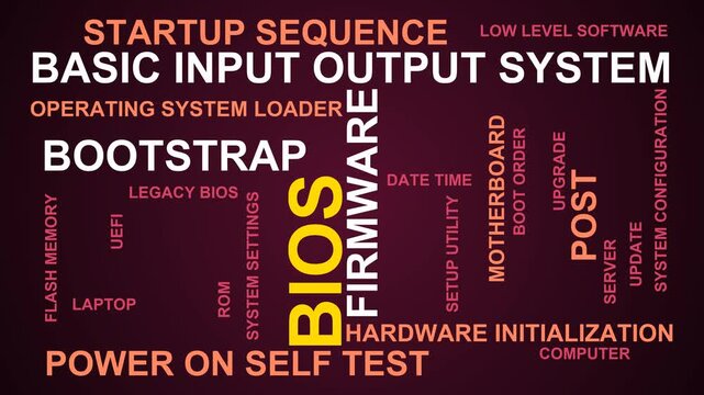 Bios Word Cloud
