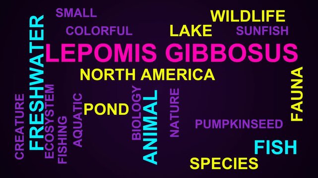 Lepomis Gibbosus Word Cloud
